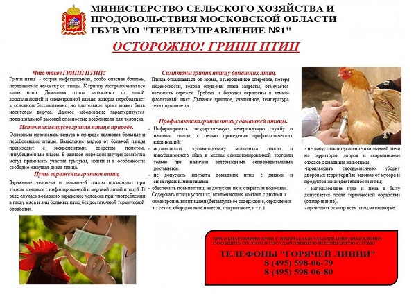 Апанасенковский центр социальной помощи семье и детям | мероприятия